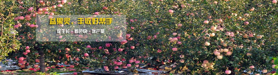 新聞動態